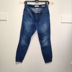 Vintage American Blues Boho Skinny Ankle Size 8